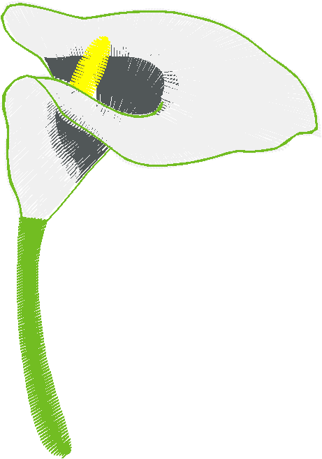 Floral 134  (7)