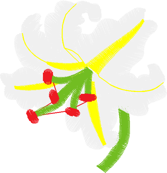 Floral 134  (8)