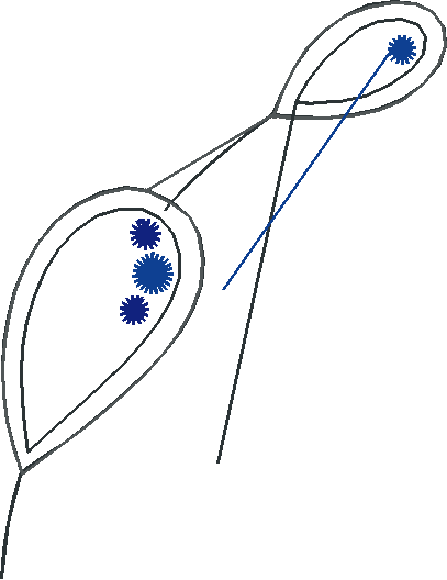 Floral 136  (11)
