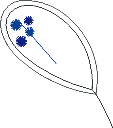 Floral 136  (12)