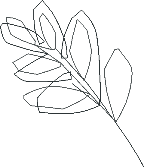 Floral 136  (17)