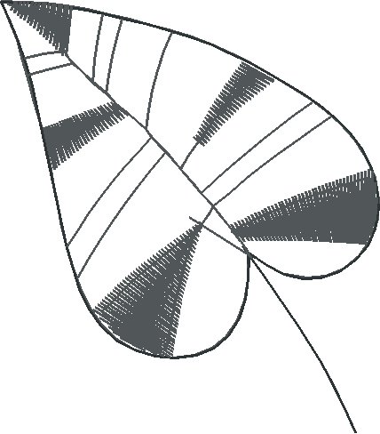 Floral 136  (20)