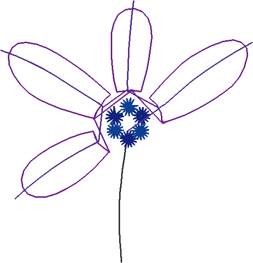 Floral 136  (5)