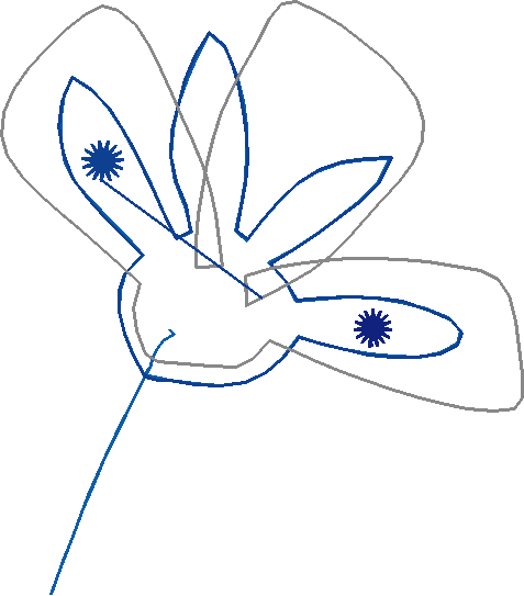 Floral 136  (7)