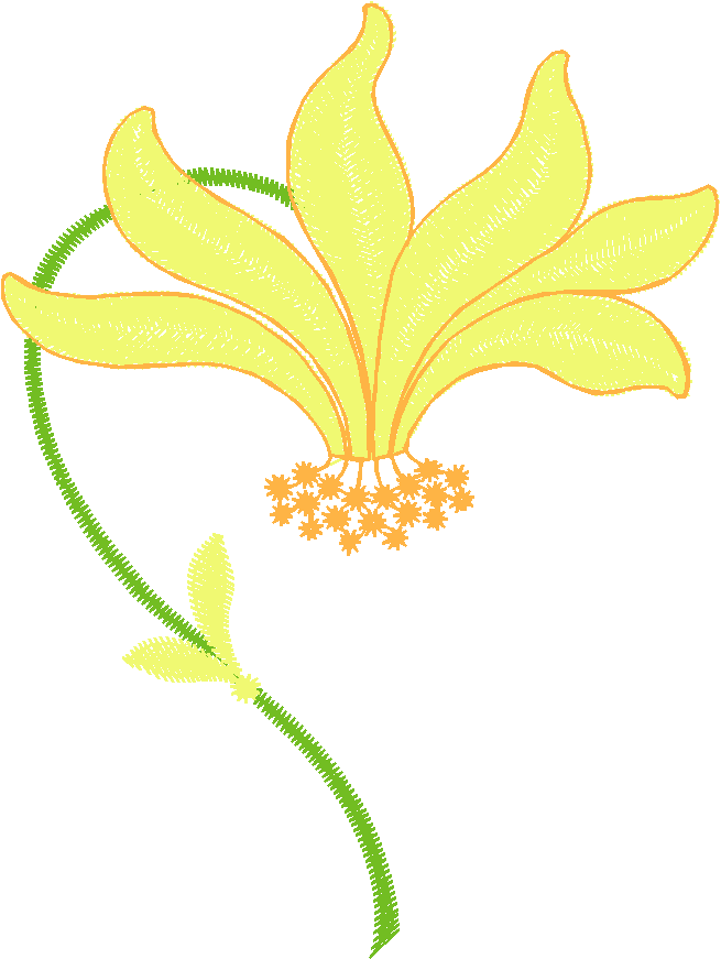 Floral 137  (7)