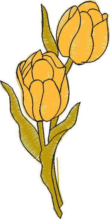 Floral 14  (8)