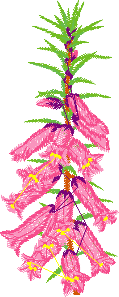 Floral 142  (3)
