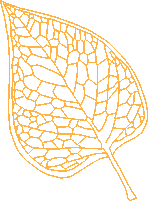 Floral 143  (11)