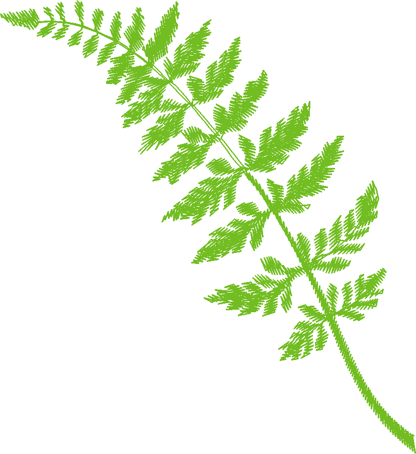 Floral 143  (2)