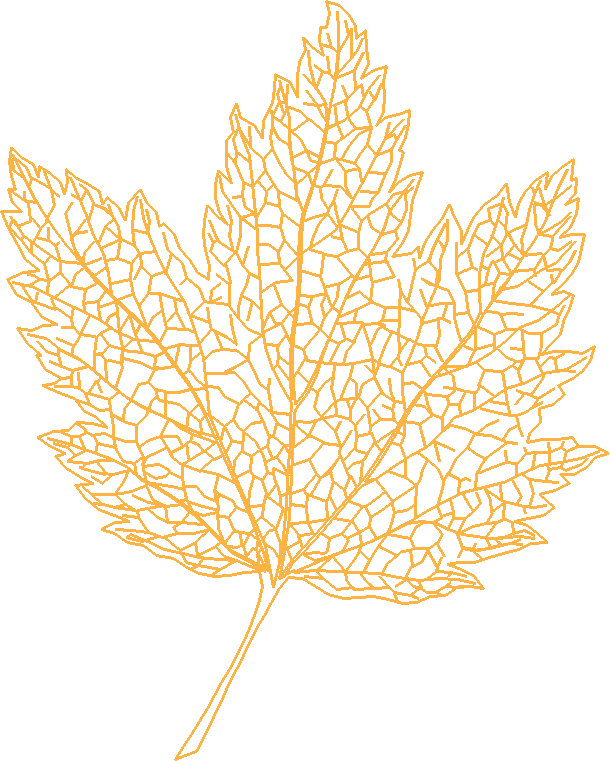 Floral 143  (28)