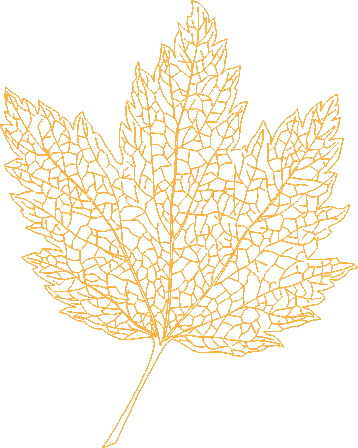 Floral 143  (29)