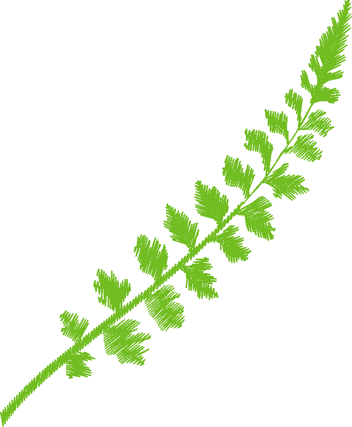 Floral 143  (3)