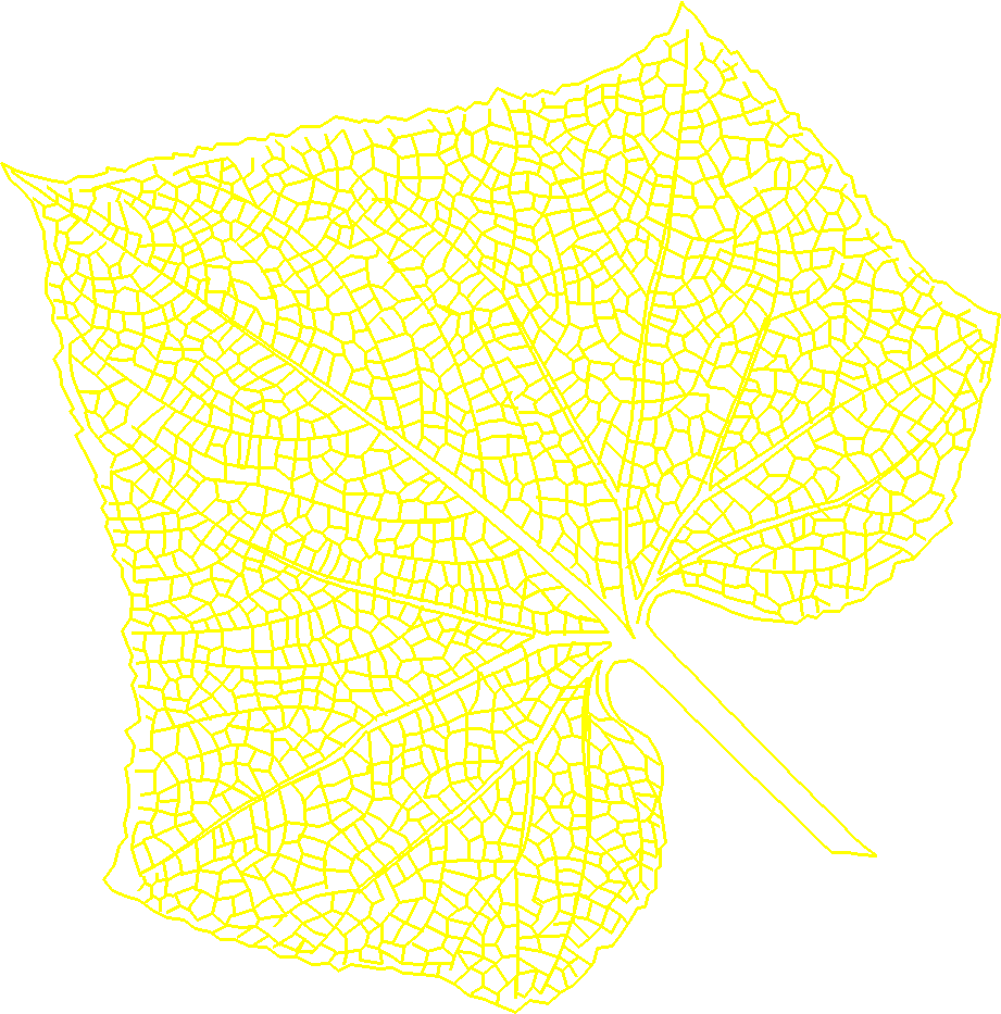 Floral 143  (33)