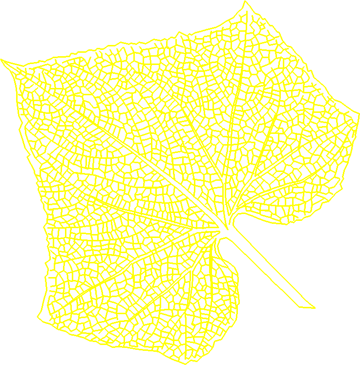 Floral 143  (34)
