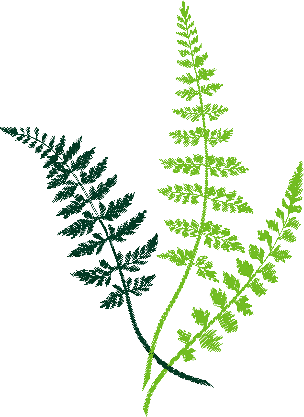 Floral 143  (4)