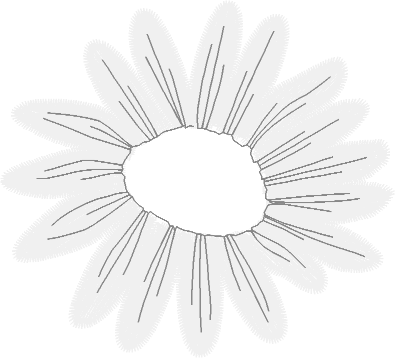 Floral 147  (12)