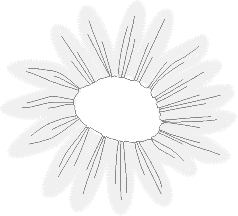 Floral 147  (13)