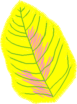 Floral 147  (31)