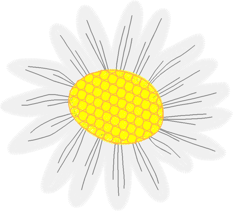 Floral 147  (8)