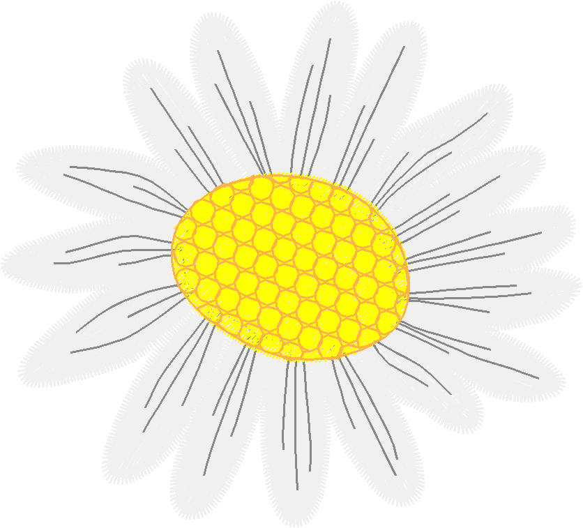 Floral 147  (9)
