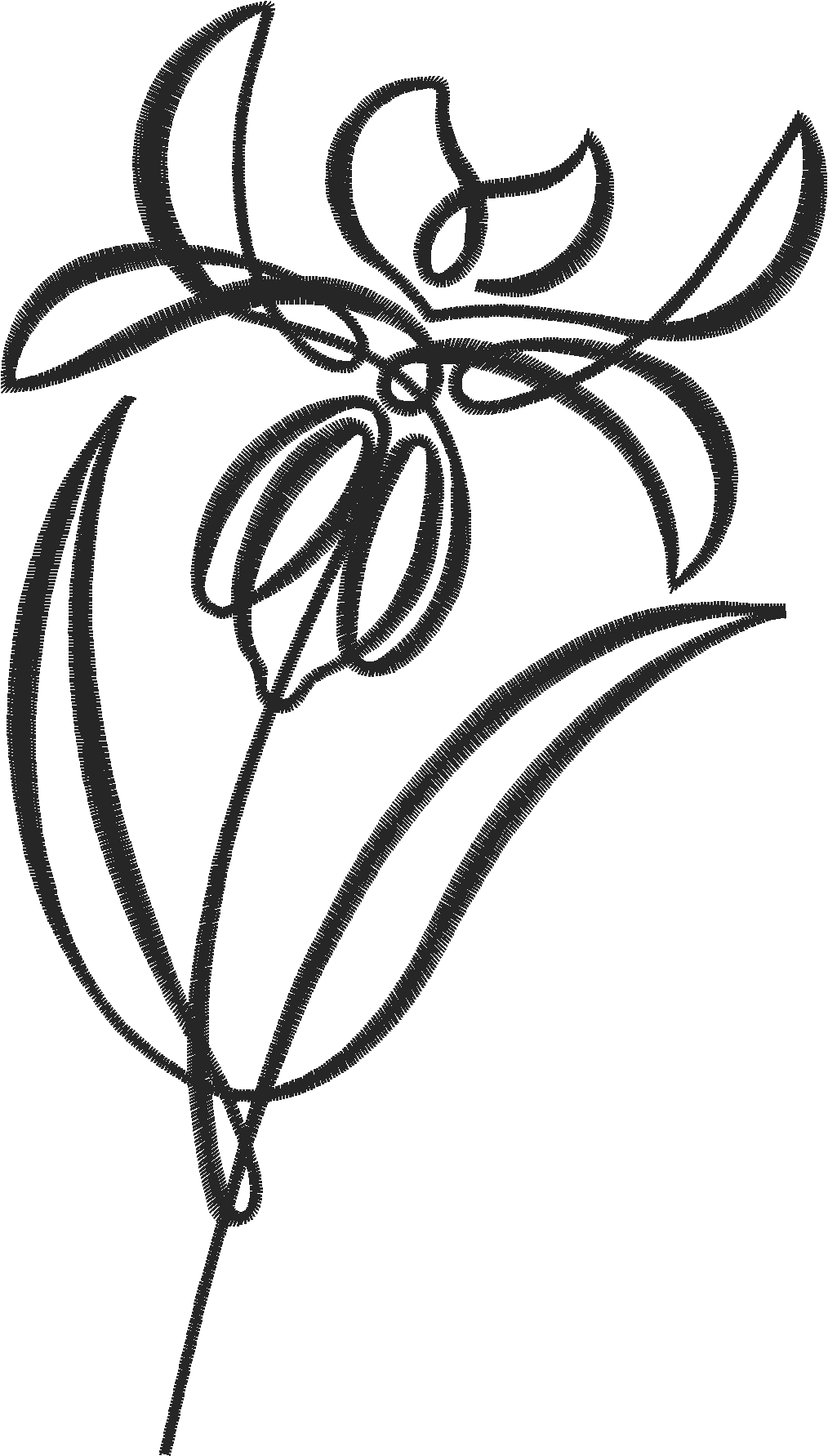 Floral 148  (3)