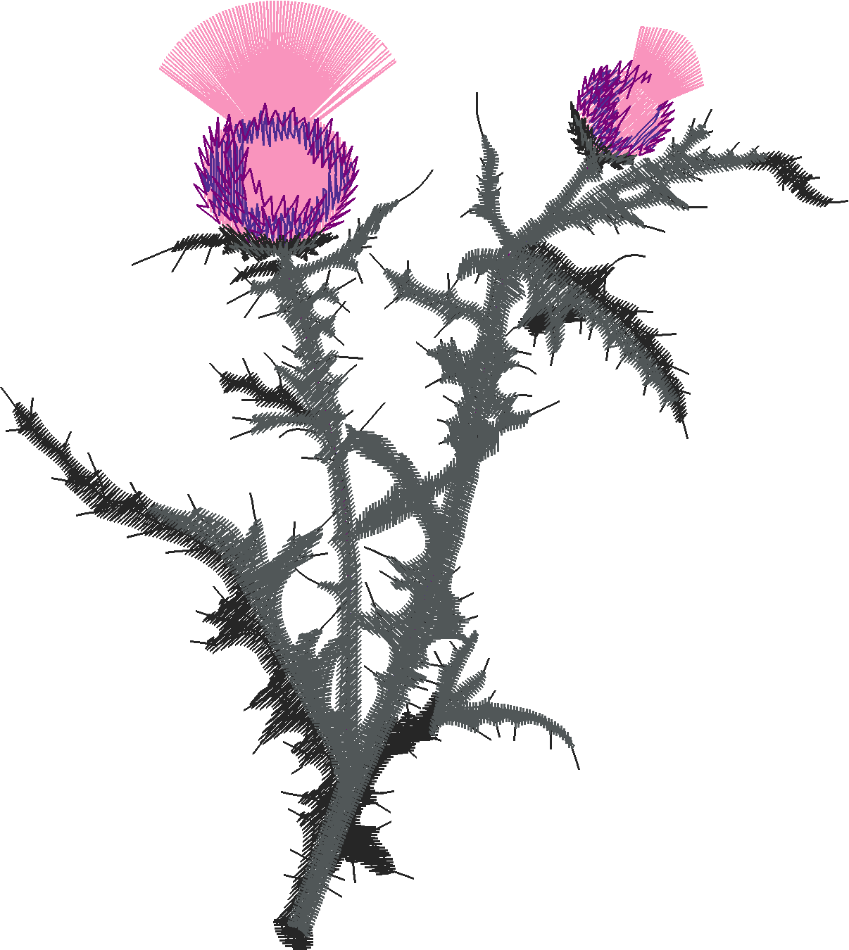 Floral 149  (28)