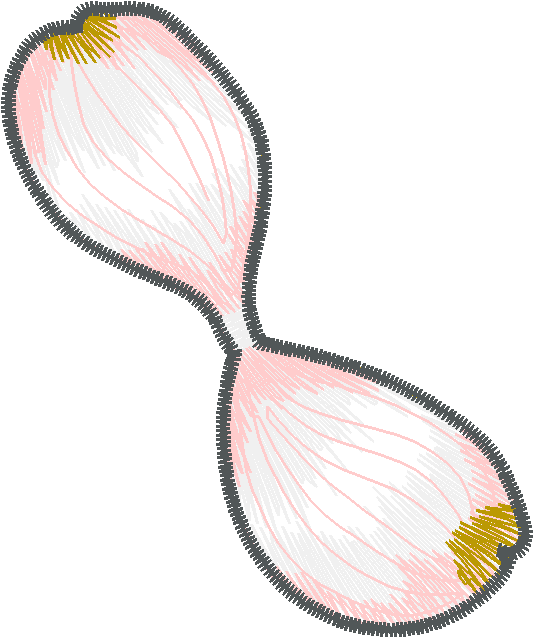 Floral 149  (8)