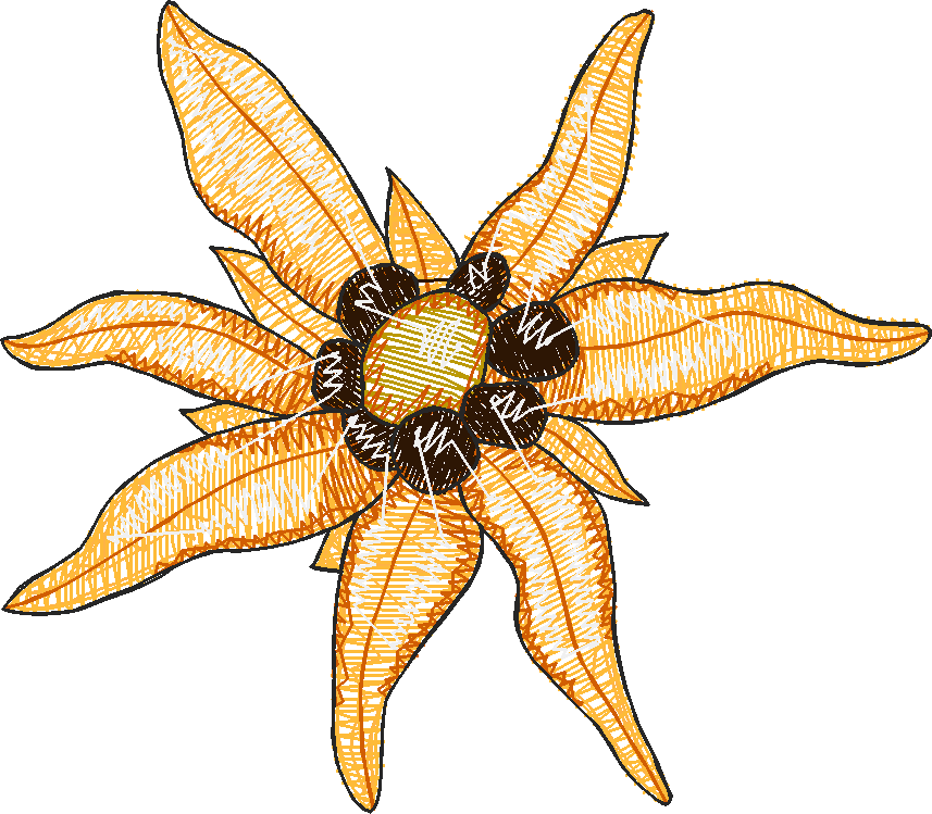 Floral 15  (19)