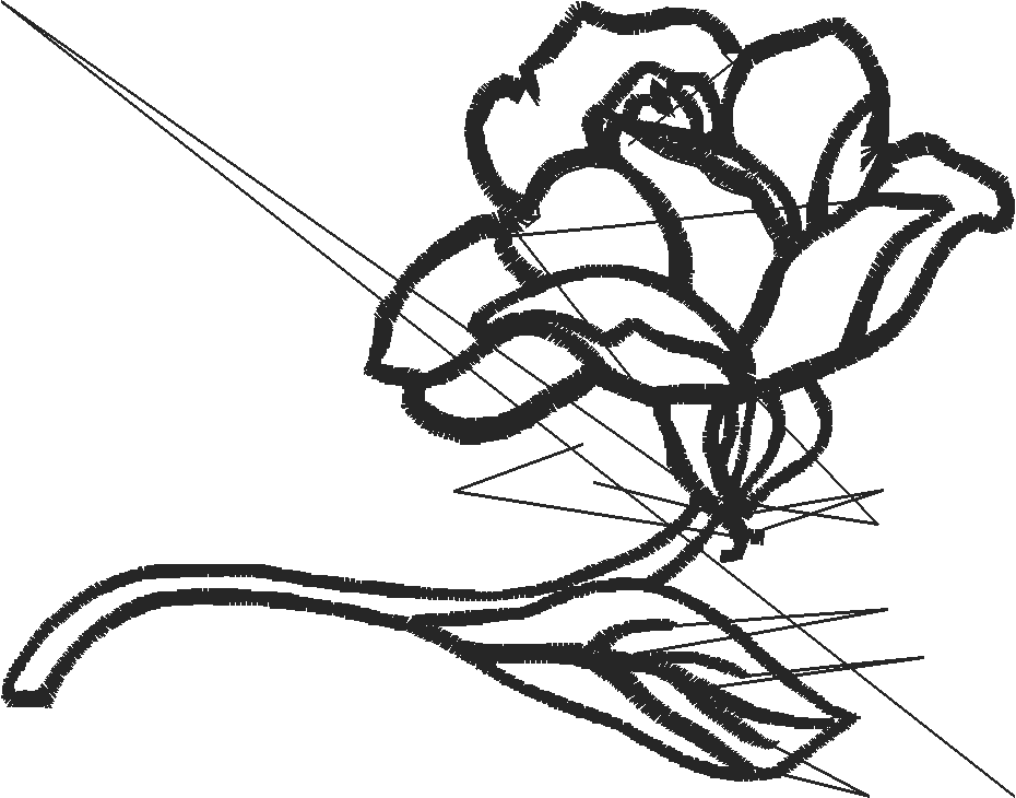 Floral 150  (2)