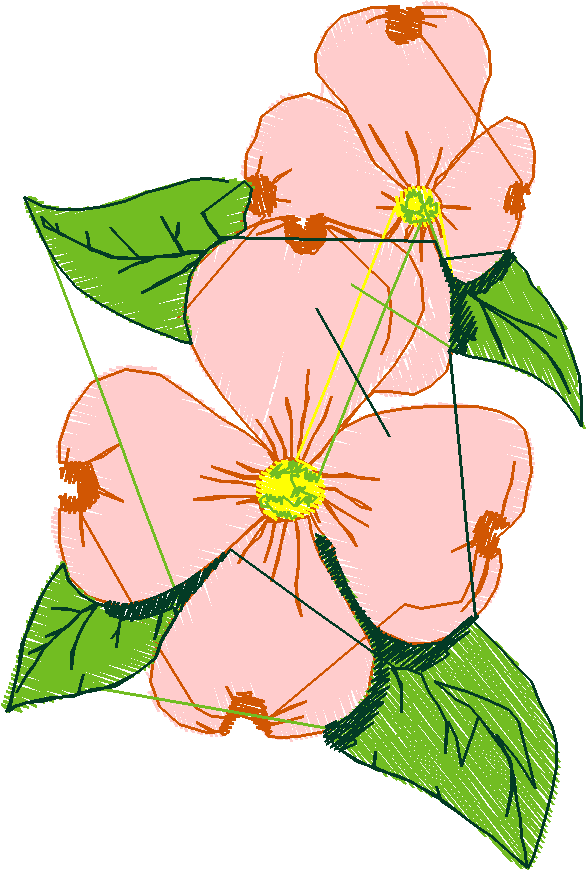 Floral 150  (4)