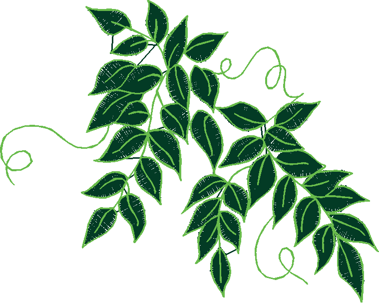 Floral 151  (12)