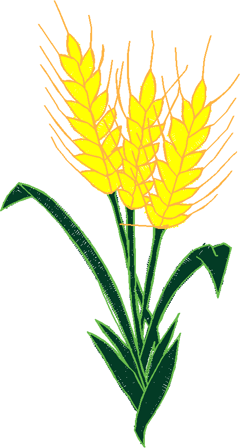 Floral 151  (13)
