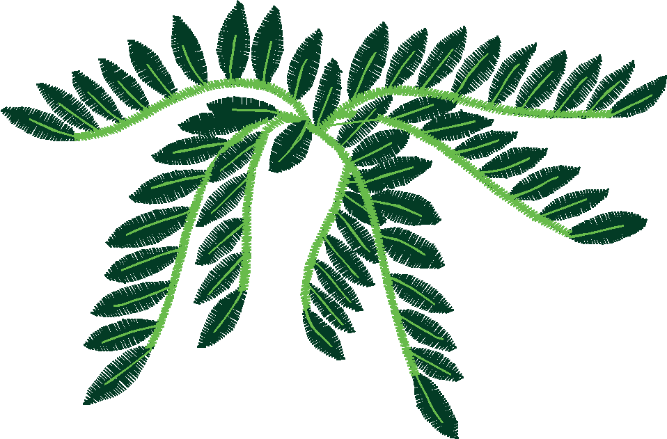 Floral 151  (4)