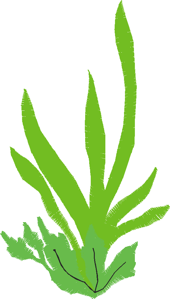Floral 151  (7)