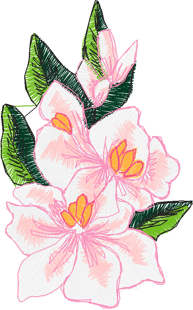 Florl 152  (10)
