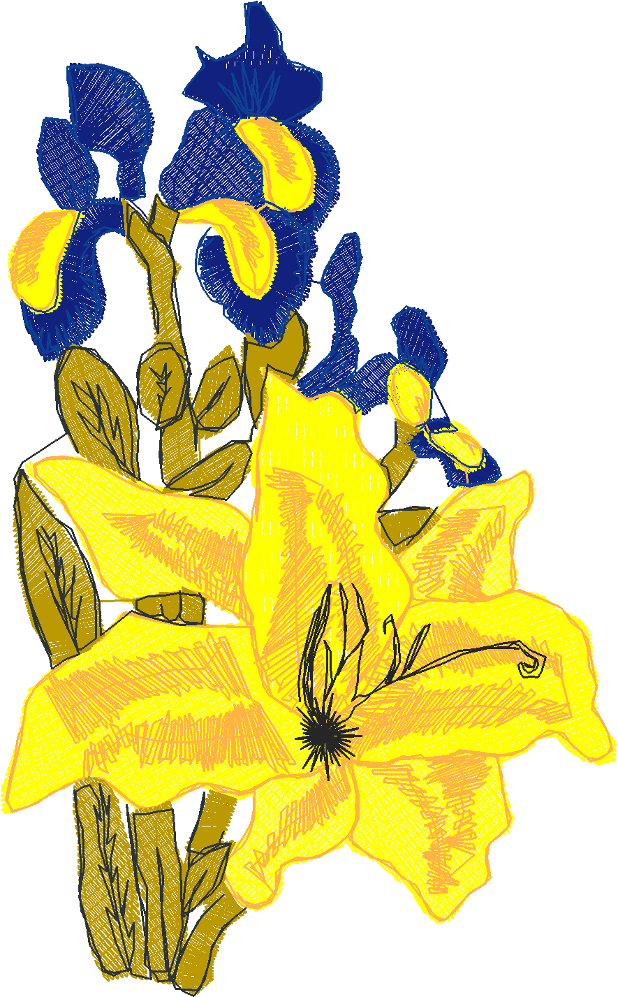 Florl 152  (3)