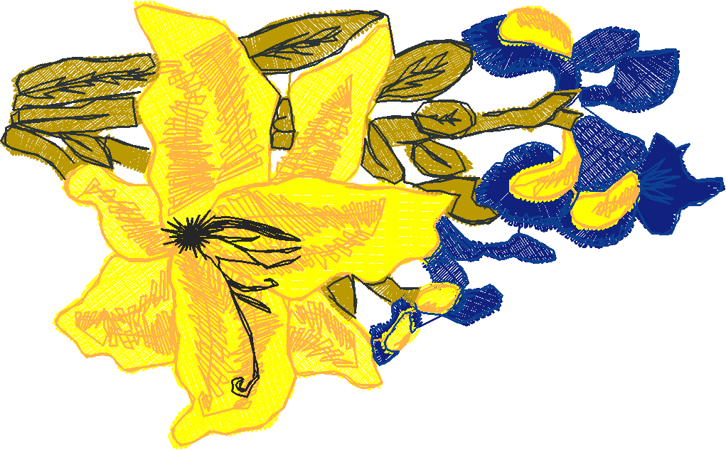 Florl 152  (7)