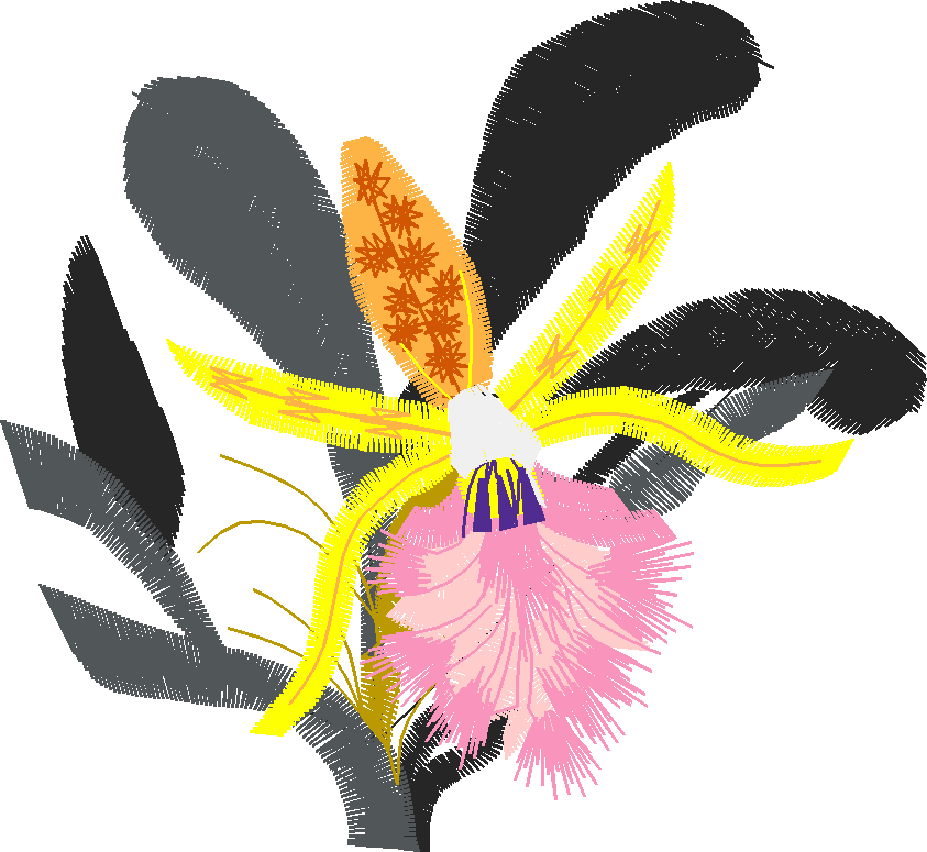 Floral 153  (3)