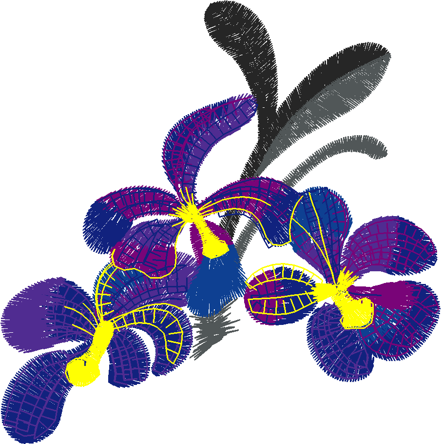 Floral 153  (46)