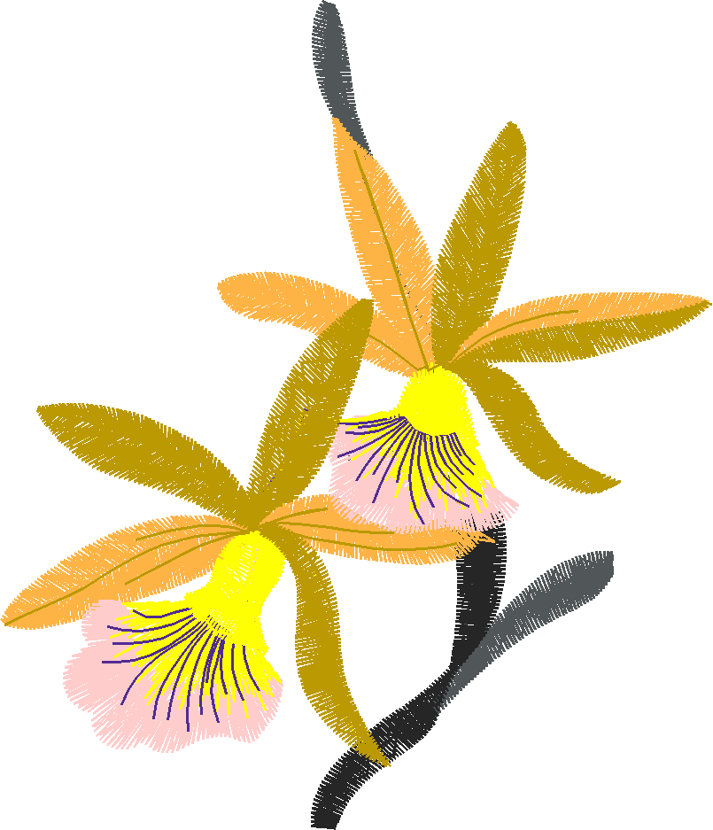 Floral 153  (49)