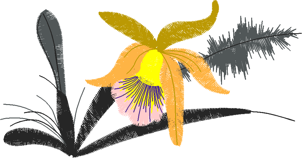 Floral 153  (50)