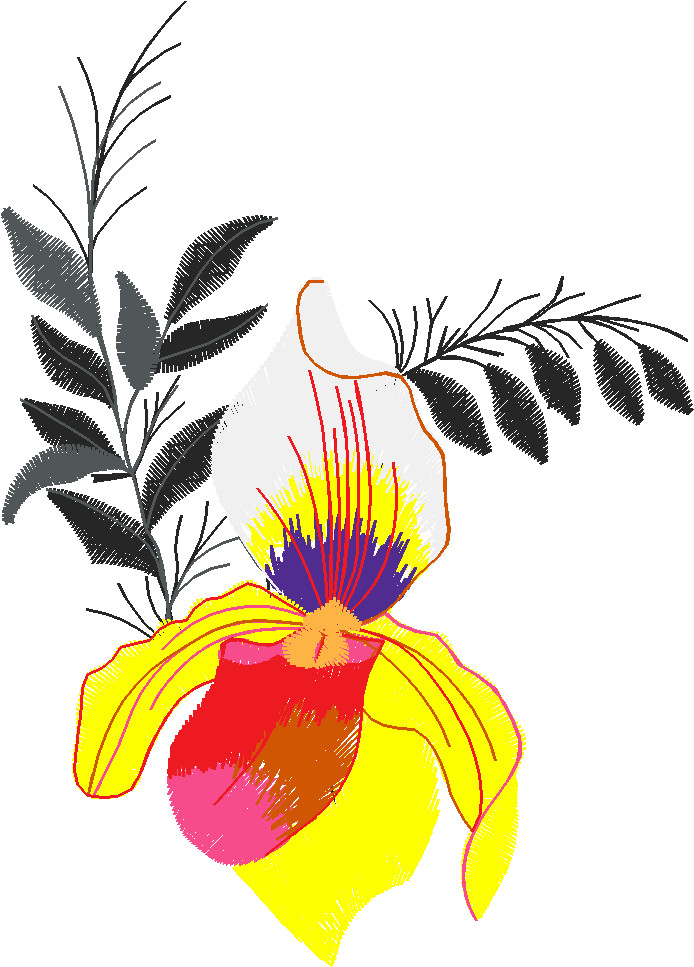 Floral 153  (60)