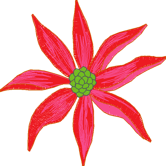 Floral 156  (17)