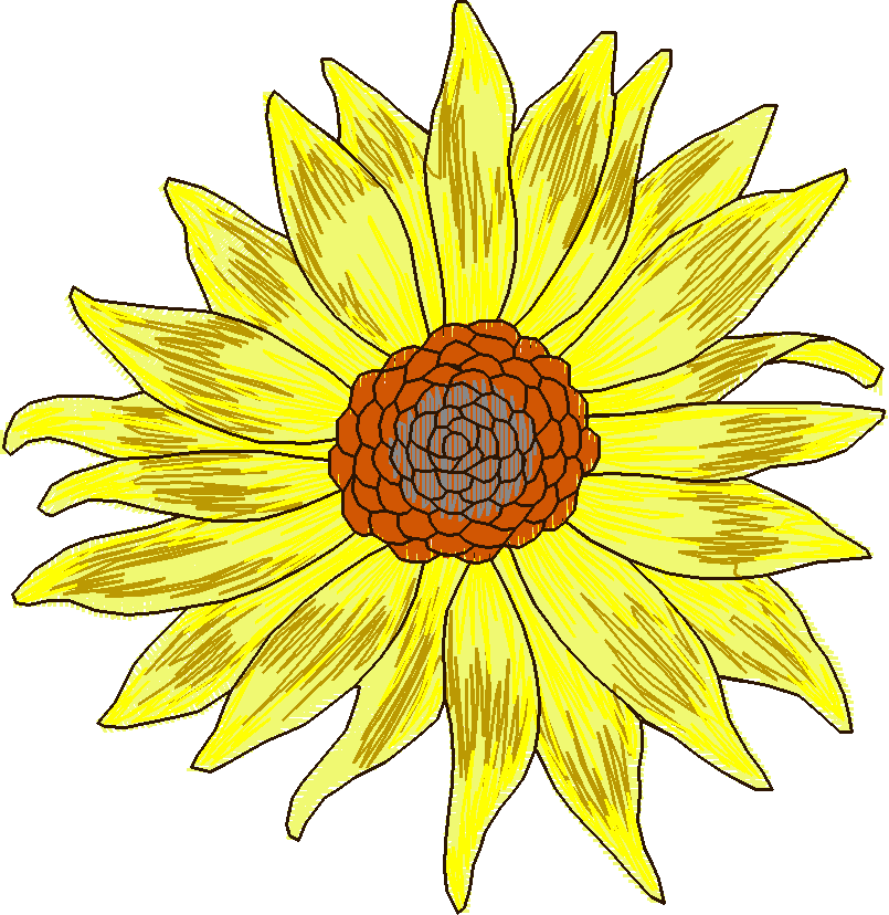 Floral 156  (18)