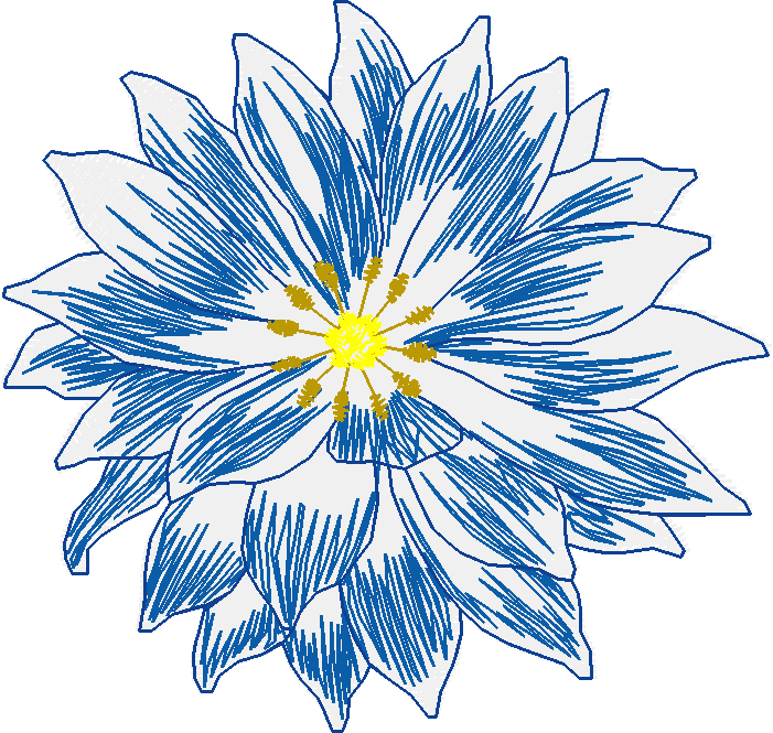 Floral 156  (19)