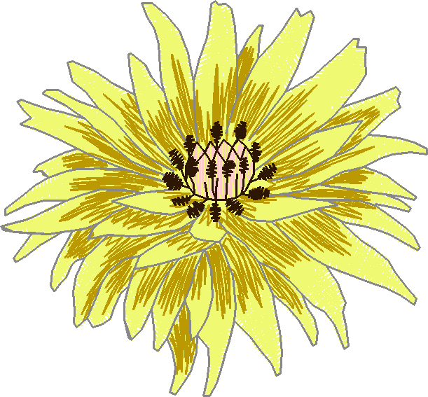 Floral 156  (9)