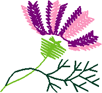 Floral 157 (5)