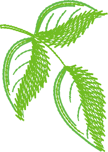 Floral 159 (37)