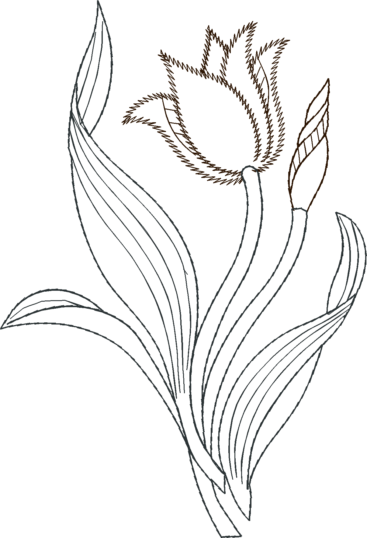 Floral 159 (46)
