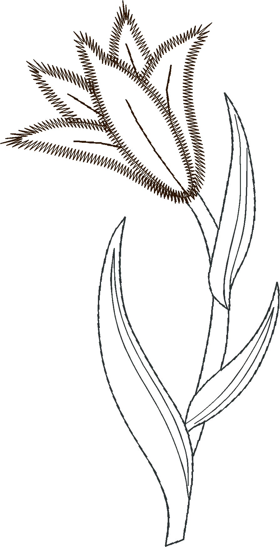Floral 159 (47)
